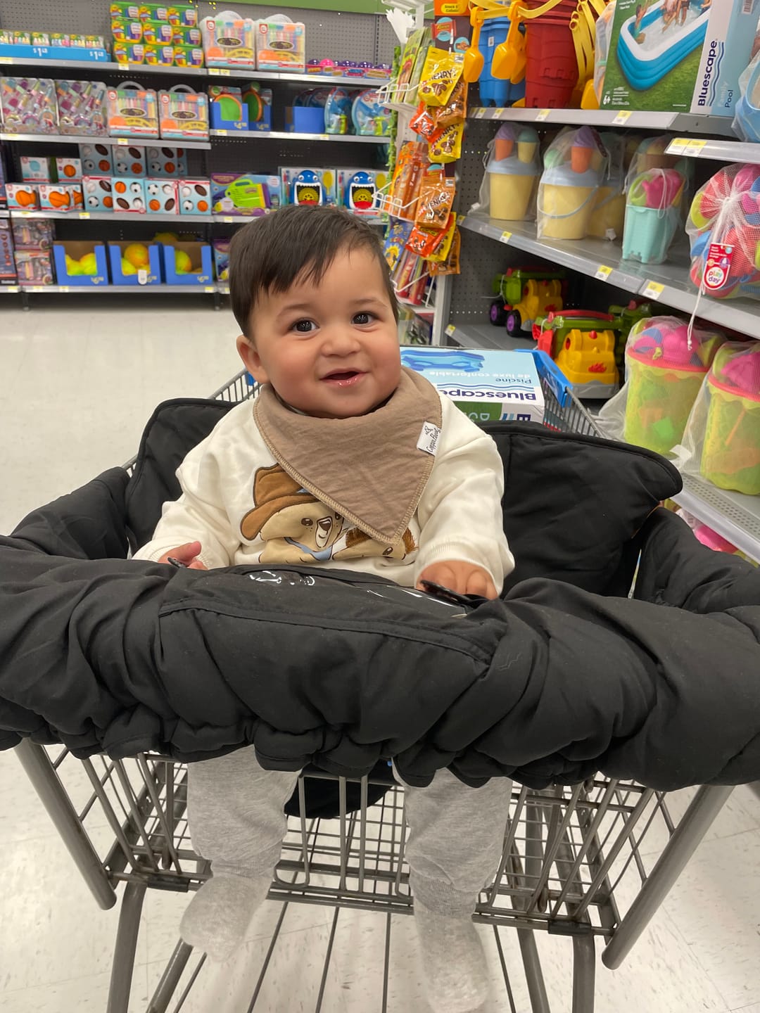 Customer photo review of Baby Shopping Cart Cover | Black Fabric