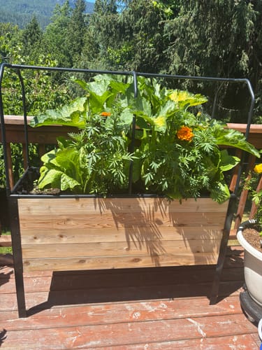 Customer photo review of 18" x 48" Raised Garden Bed