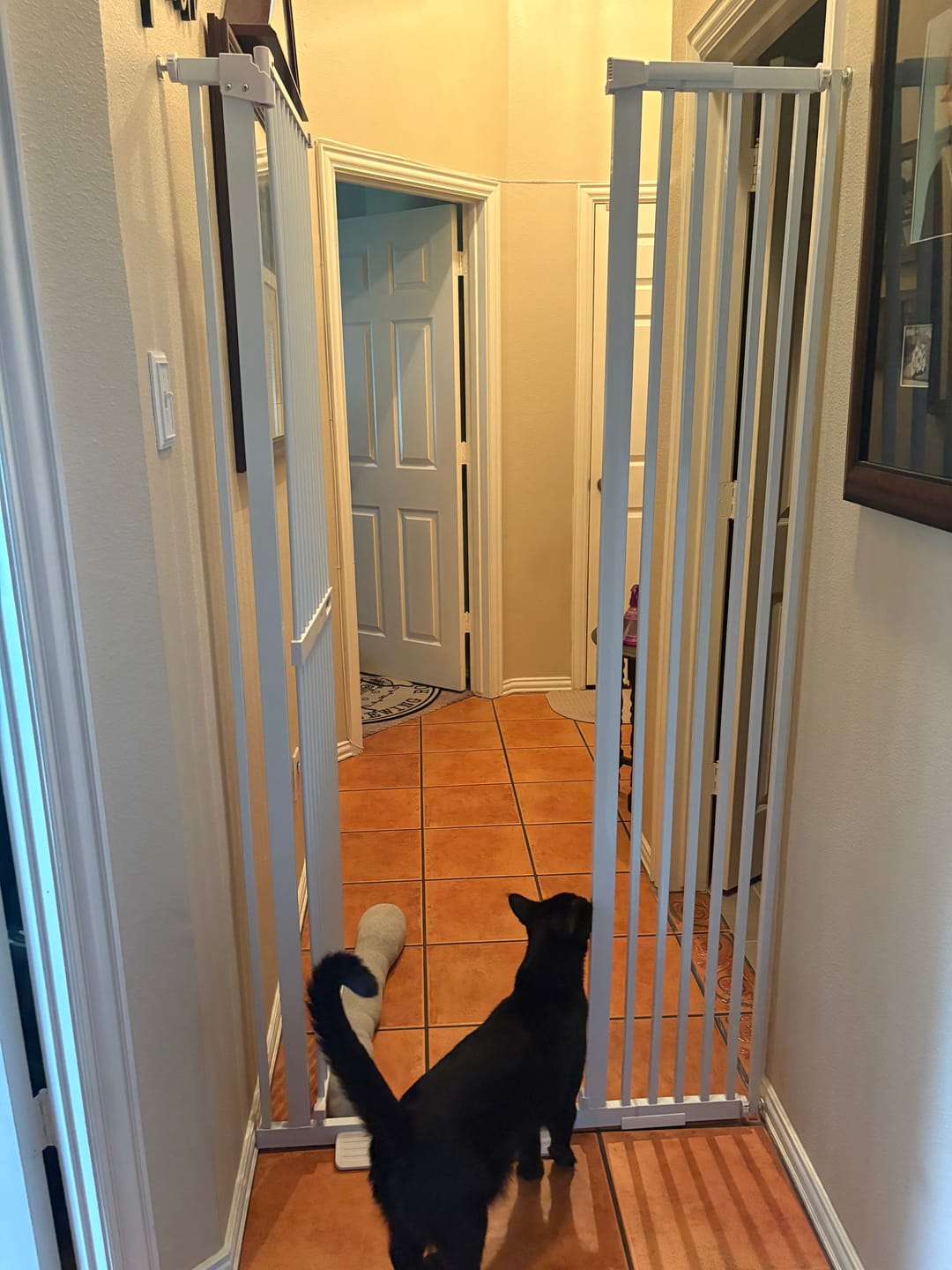 Denise M. review of FairyBaby 72" Tall Cat Gate with Narrow Bar Spacing