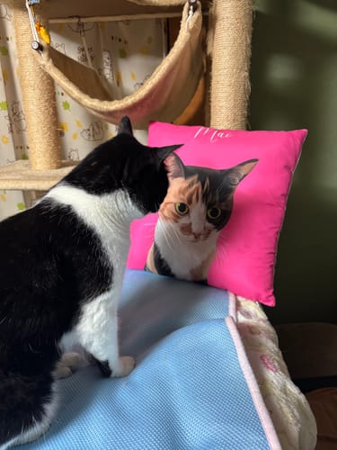 Customer photo review of Petcanvaオーダーメイド ペット似顔絵