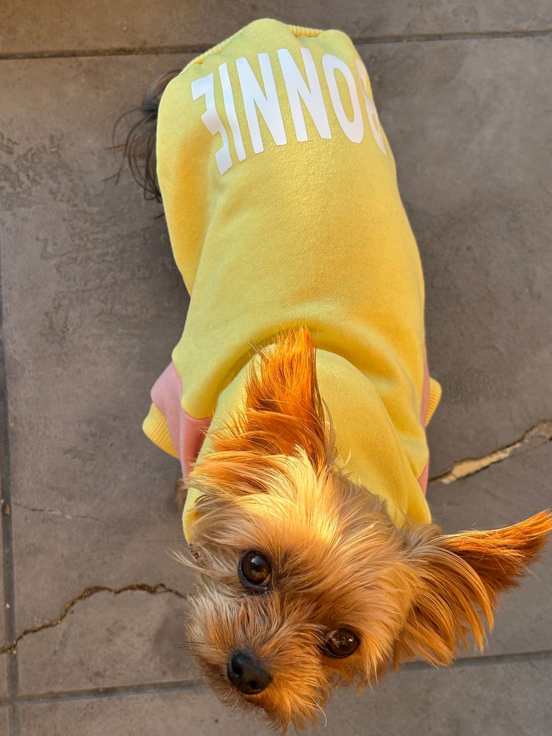 Customer photo review of Hoodie - Build a Hoodie