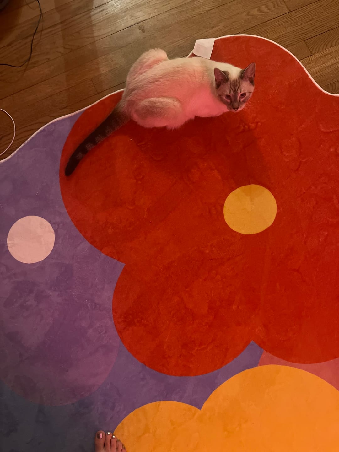 Customer photo review of Funky Flowers Rug