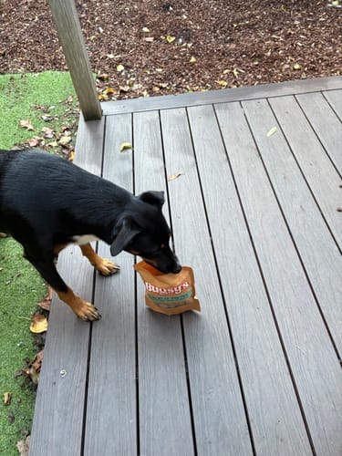 Customer photo review of Catch Me If You Can | Beef & Turmeric