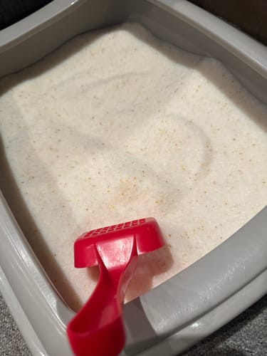 Customer photo review of 3 Month Supply - 1 Cat