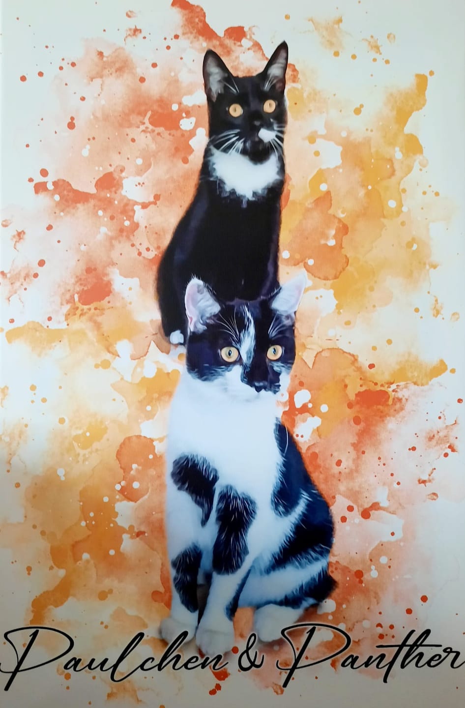 Customer photo review of Tierisches Wasserfarben Portrait