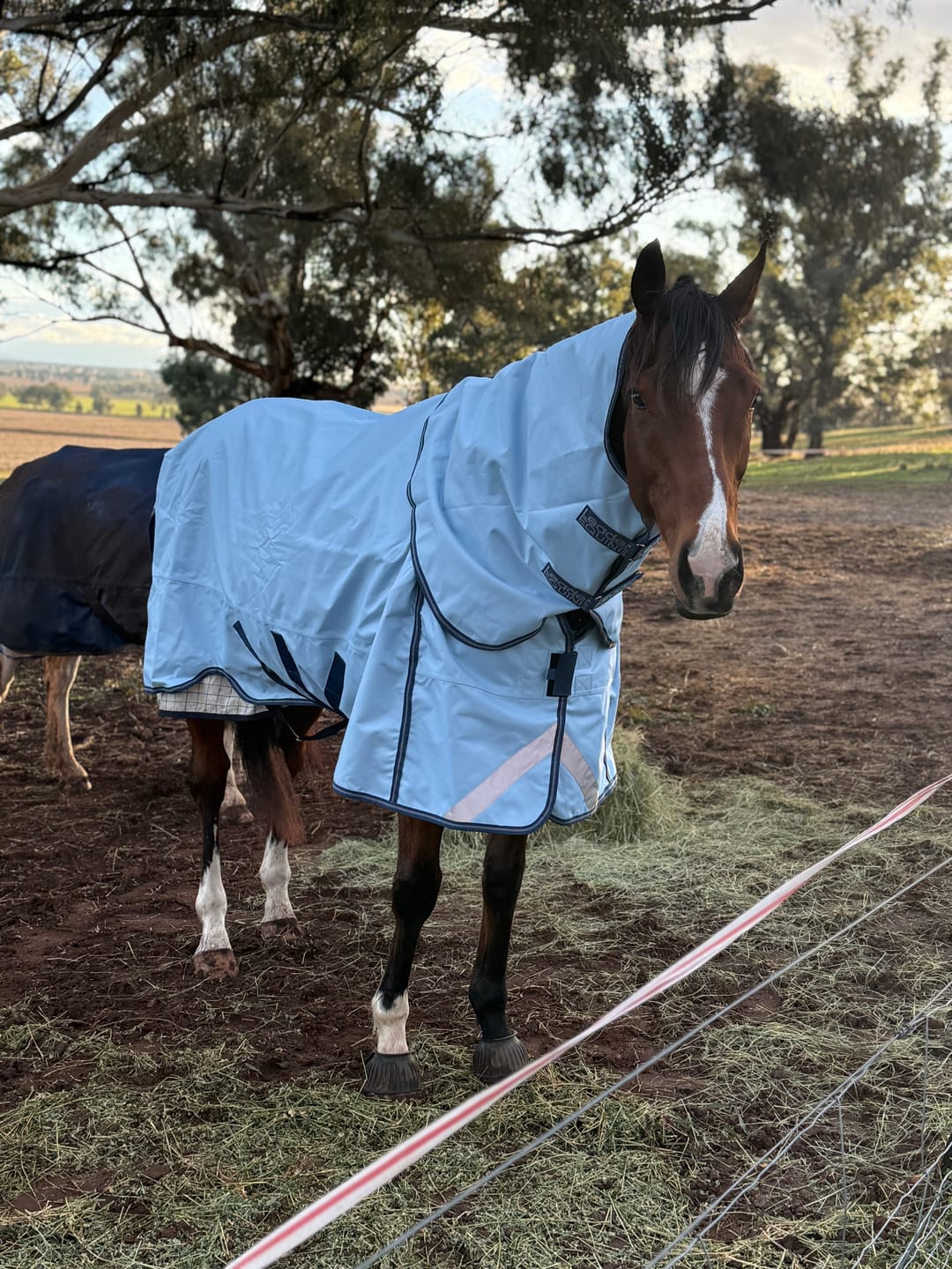 Customer photo review of LE Boxter Turnout 0g