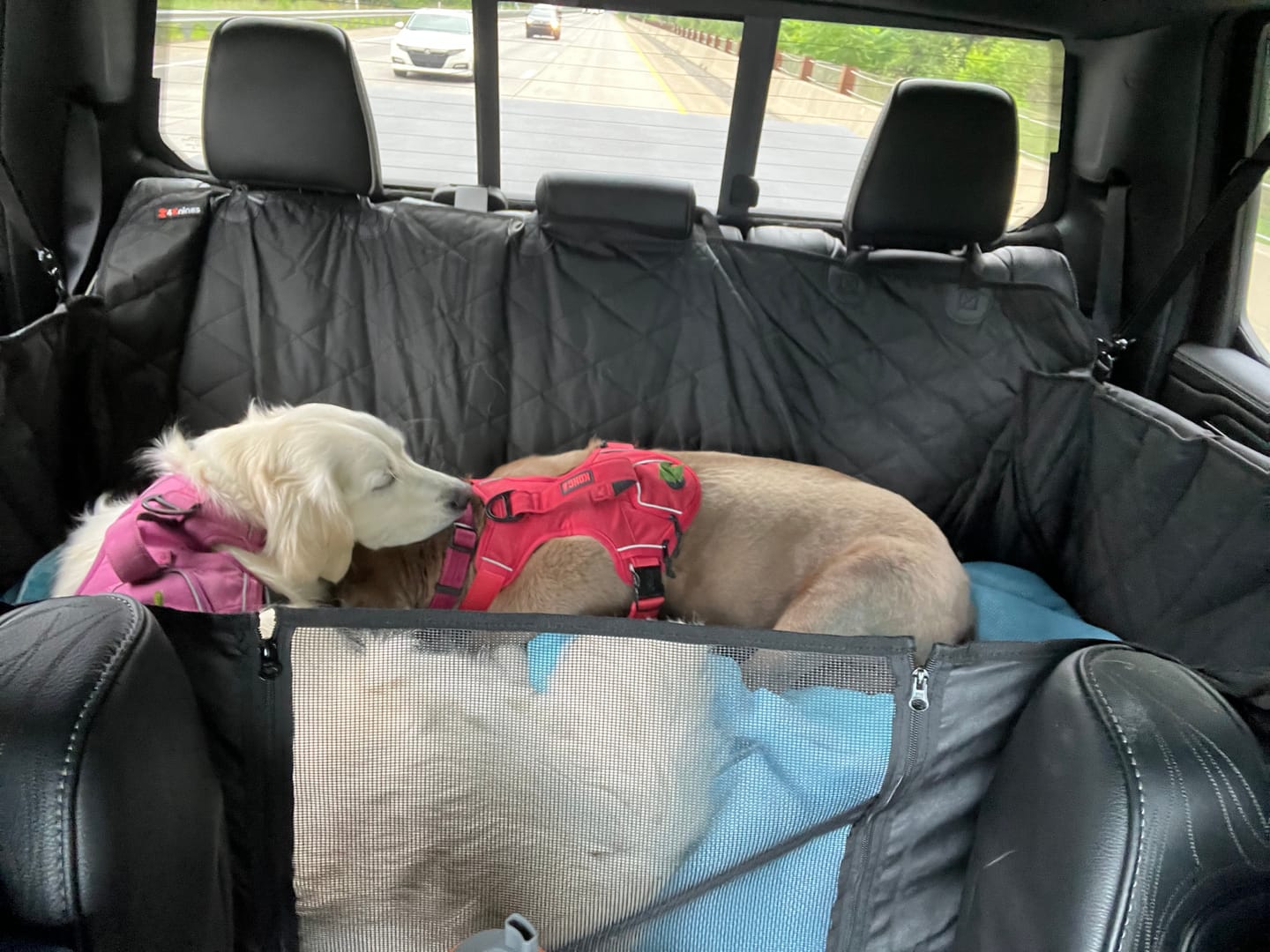Customer photo review of 4Knines Hard Bottom Extender Car Seat Cover for Dogs - XL