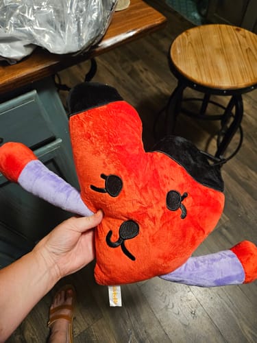 Customer photo review of Turn Kid‘s Drawings into Plushies