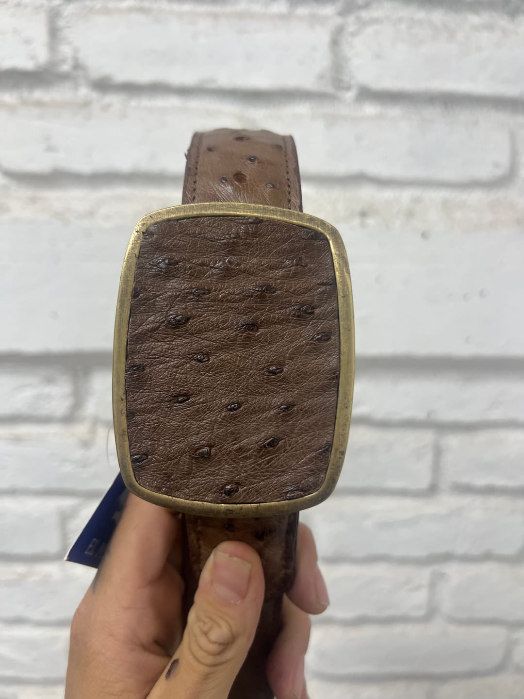 Customer photo review of CINTURON CABALLERO HEBILLA CUA EN PATA DE AVESTRUZ