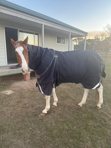 Customer photo review of Rambo Optimo Plus 0g Turnout