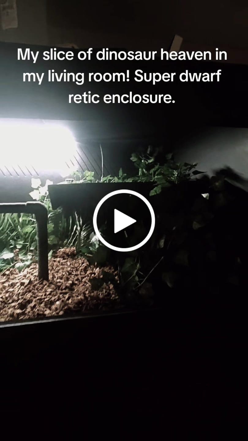 Customer video review of 84"x24"x24" / 7'x2'x2' Premium PVC Reptile Enclosure