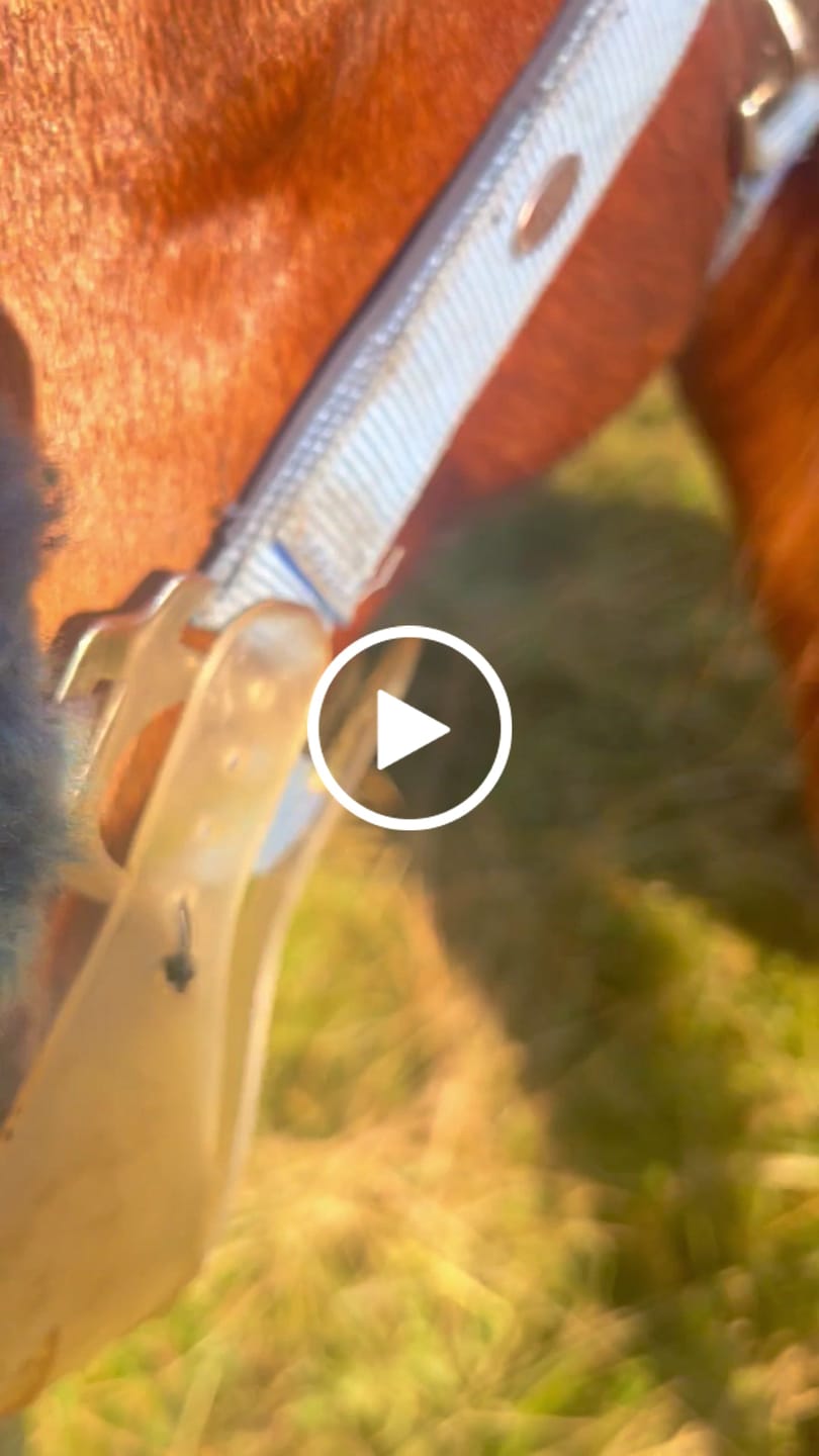 Customer video review of ThinLine Flexible Fressbremse