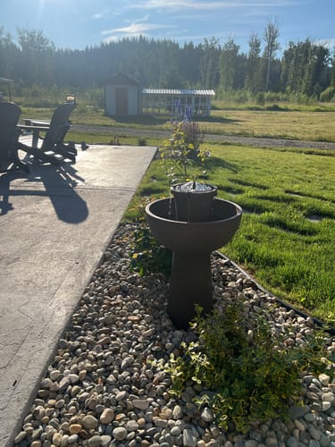 Customer photo review of Alba Cordless Fountain