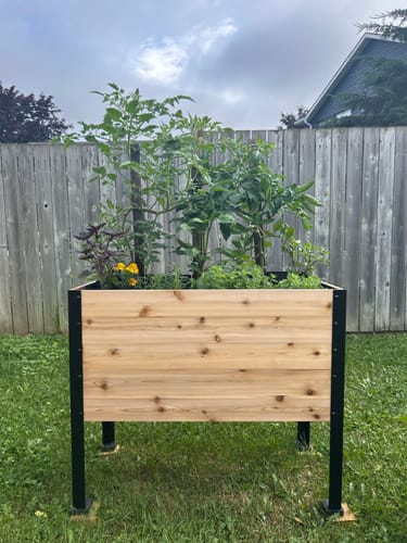 Customer photo review of 18" x 36" Raised Garden Bed - 30" TALL