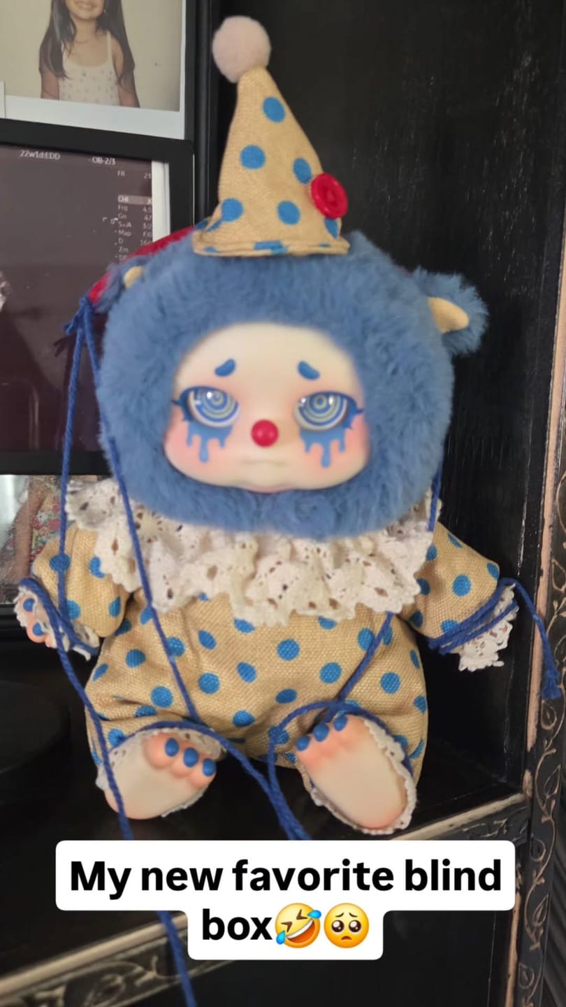 Customer photo review of Cino's Dreamland Circus Series Plush Blind Box