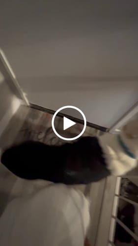 Customer video review of WagWellies® Mojave Neon Orange