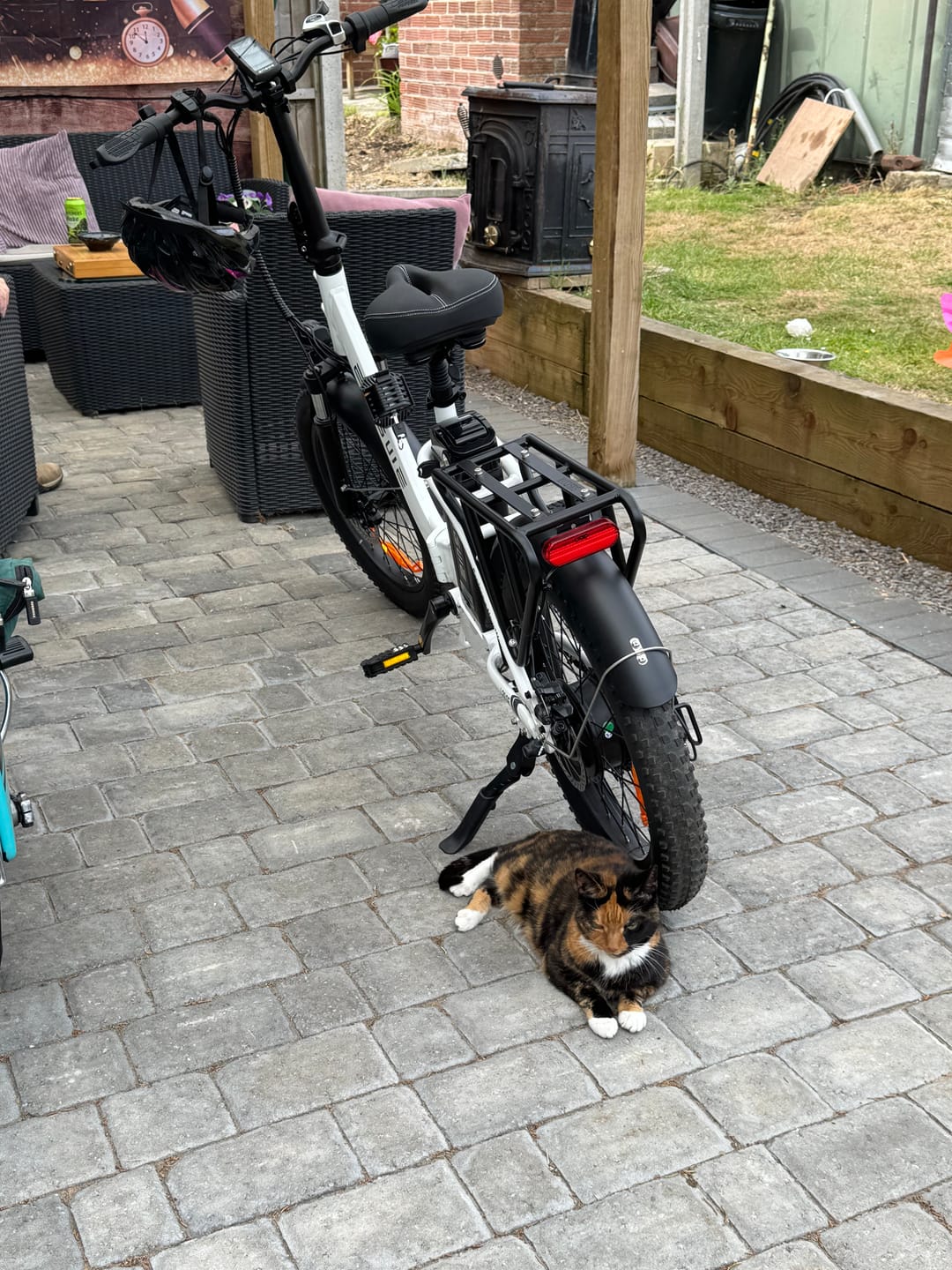 Customer photo review of Engwe L20 SE 250W 20" Foldable Electric Trekking Bike 561Wh Step-through E-bike