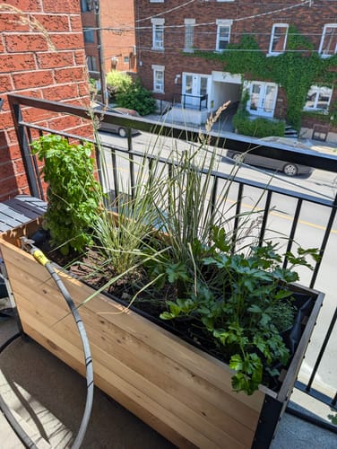 Customer photo review of 18" x 48" Planter Box - 24" TALL