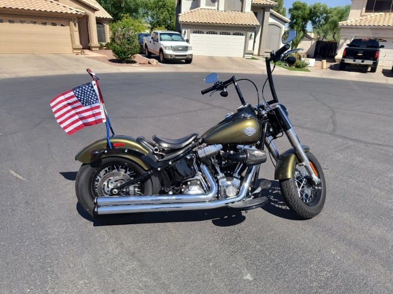 Customer photo review of Iron Born Blade 25" Sissy Bar for Harley Softail Slim FLSL Matte Black