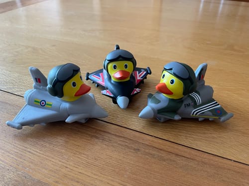 Customer photo review of RAF Association Duck - Typhoon