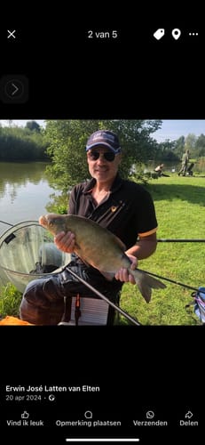 Customer photo review of OLIVE POLE FLOAT (5 stuks of €2,99/stuk)