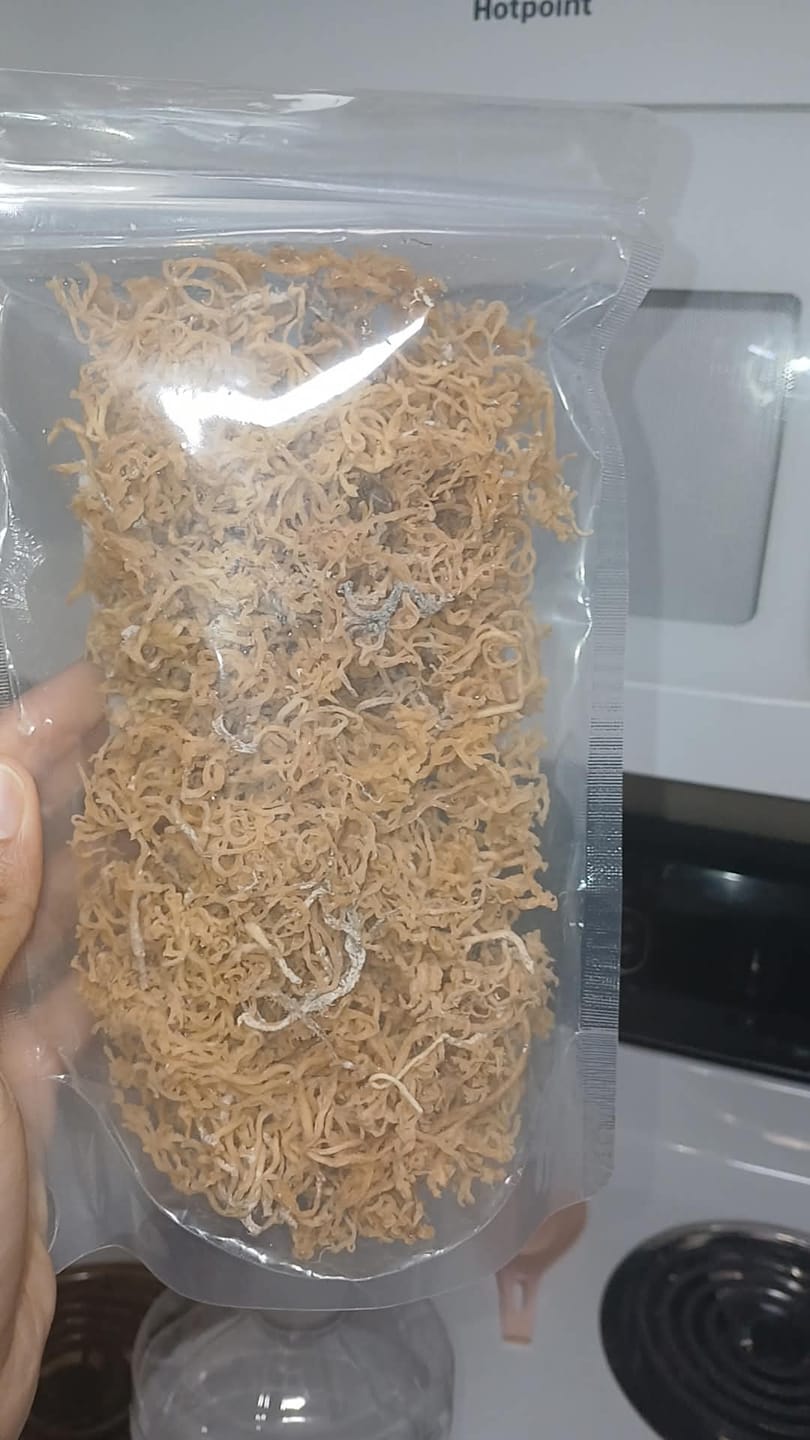 Customer photo review of Jamaican Gold Irish Sea Moss