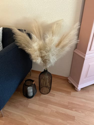 Customer photo review of Tall Nala Outline Vase - Black