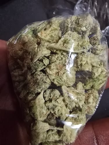 Customer photo review of Gelato Mintz - 28 Grams - Minis (Hybrid)