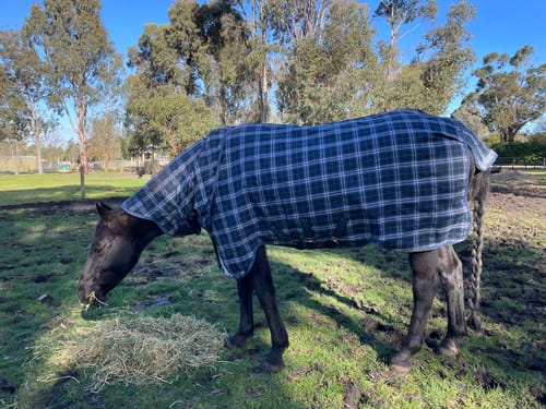 Customer photo review of Rhino Plus Turnout 0g