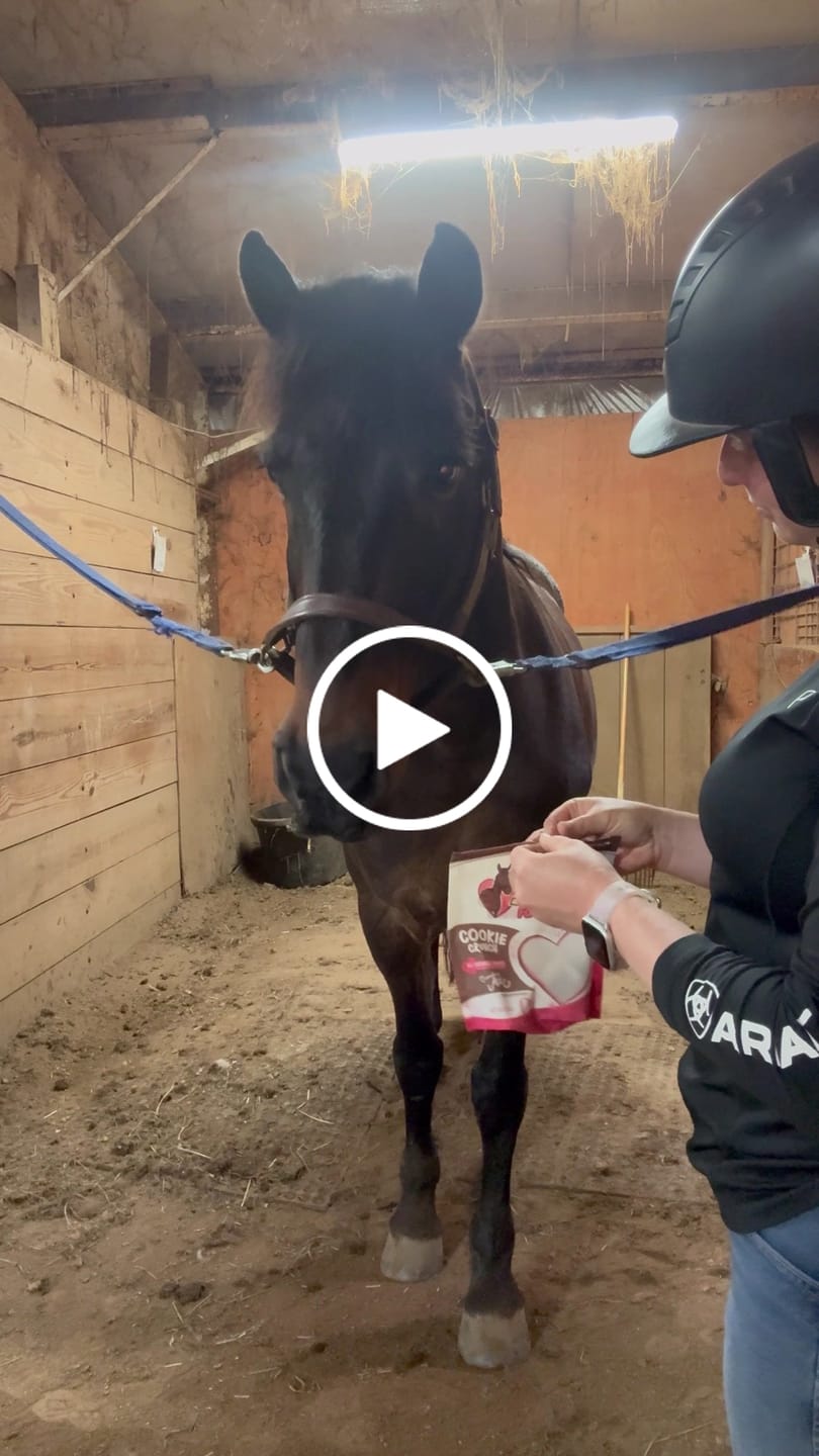 Customer video review of Cookie Crunch