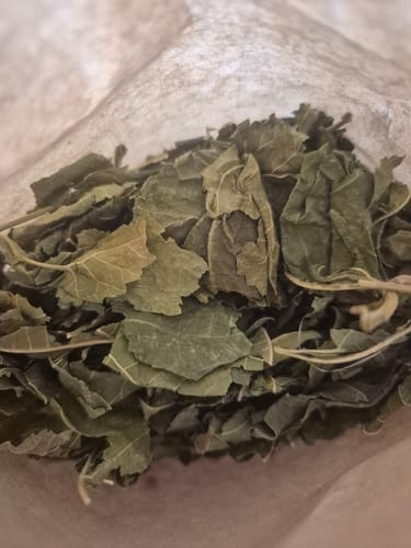 Customer photo review of Feuille de mûrier séchée