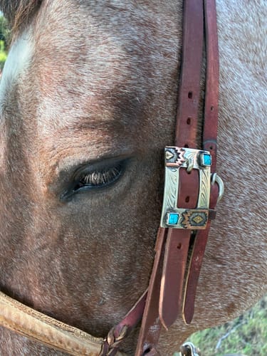 Customer photo review of Dakota Oiled Leather Headstall