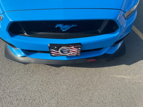 Customer photo review of Vietnam Era Vet Edition Metal Emblem Car Badge