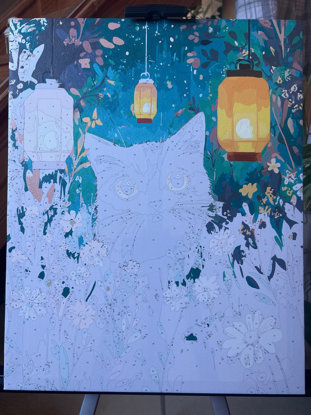 Customer photo review of Kitty Lights
