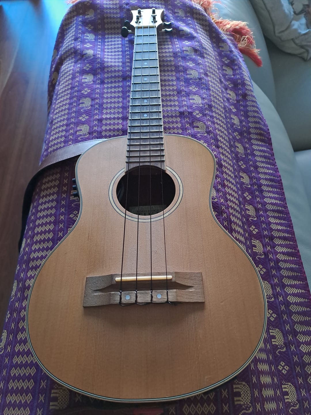 Customer photo review of BF-LG Worth Brown Fat Low-G Tenor Ukulele Strings Flurorcarbon 2 Restrings per Packet