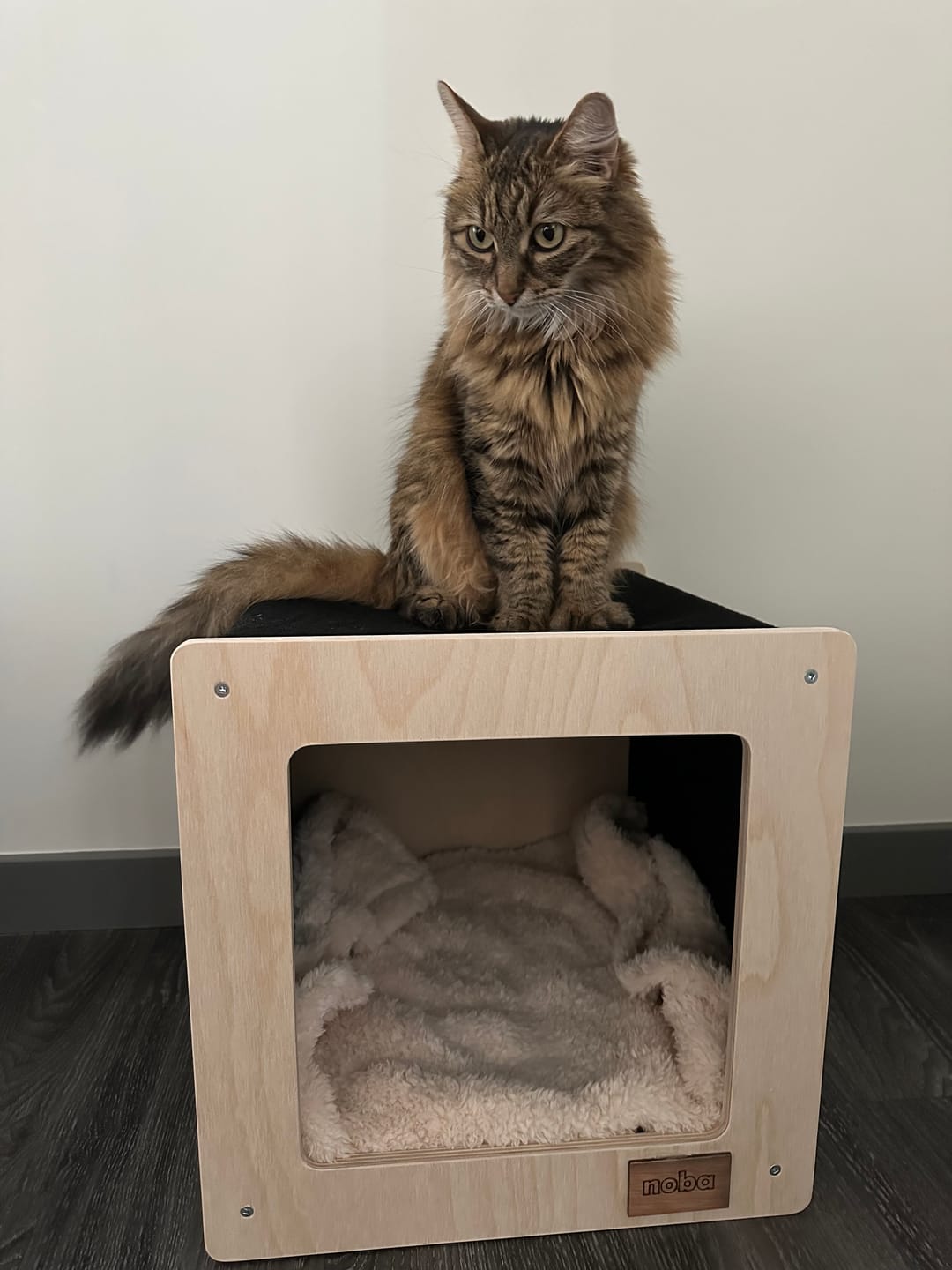 Customer photo review of The Urban Hut Pet House