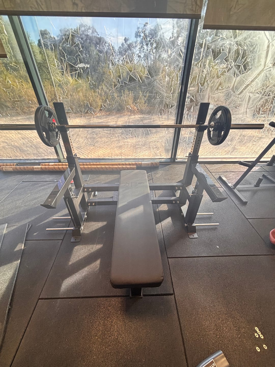 Customer photo review of Deluxe Competition Style Bench