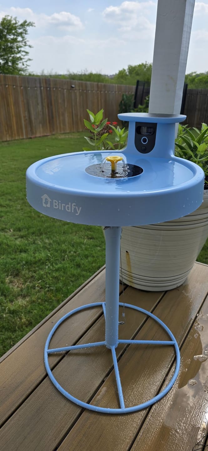 Customer photo review of Birdfy Bath Pro - Smart Bird Bath with Camera