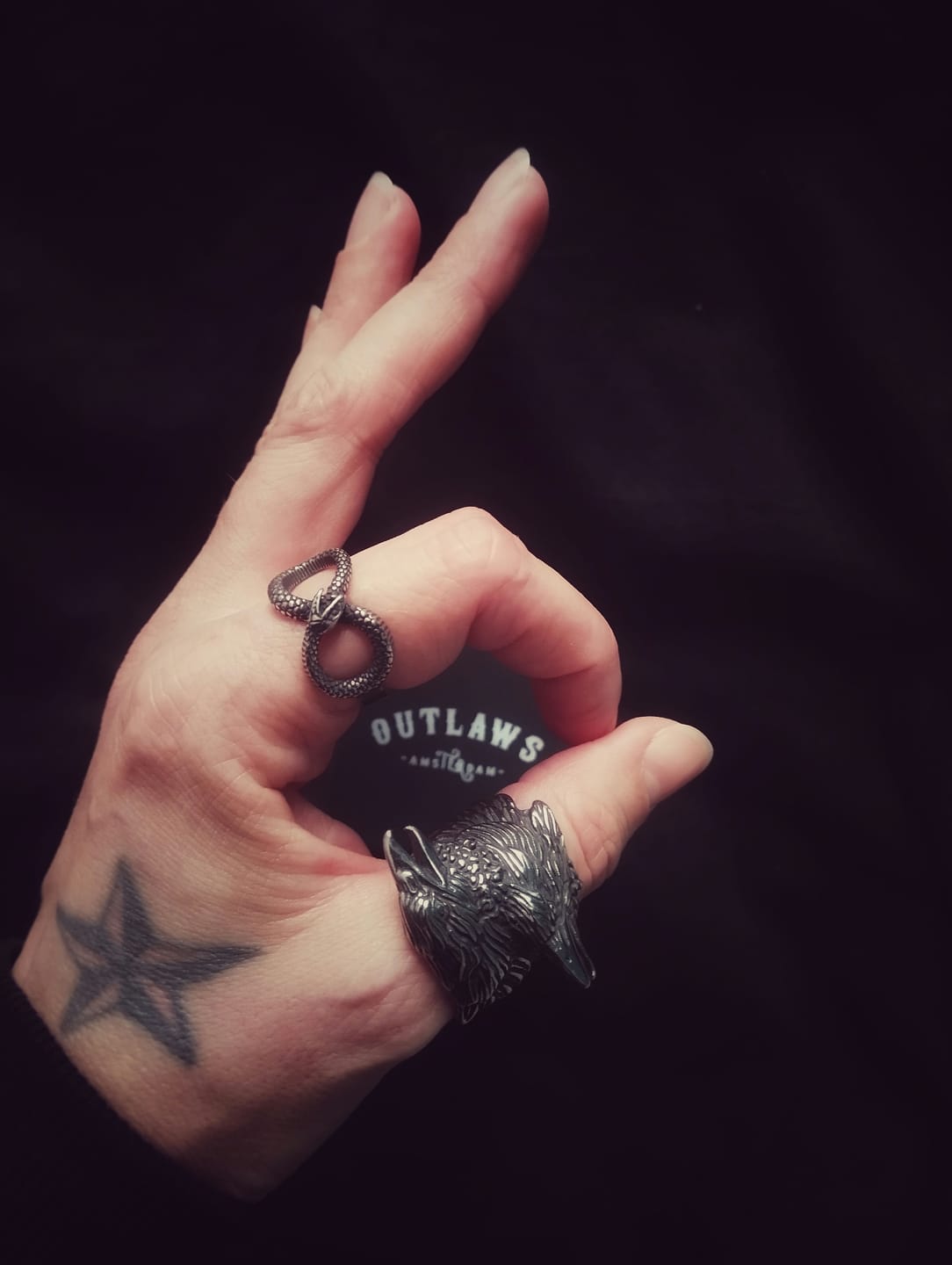 Customer photo review of SERPENT INFINITY.