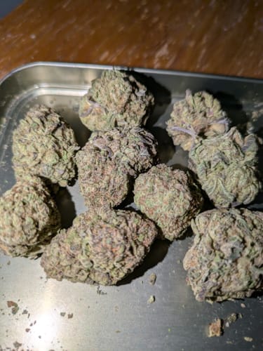 Customer photo review of Zaza Flower - Sour Diesel - Sativa