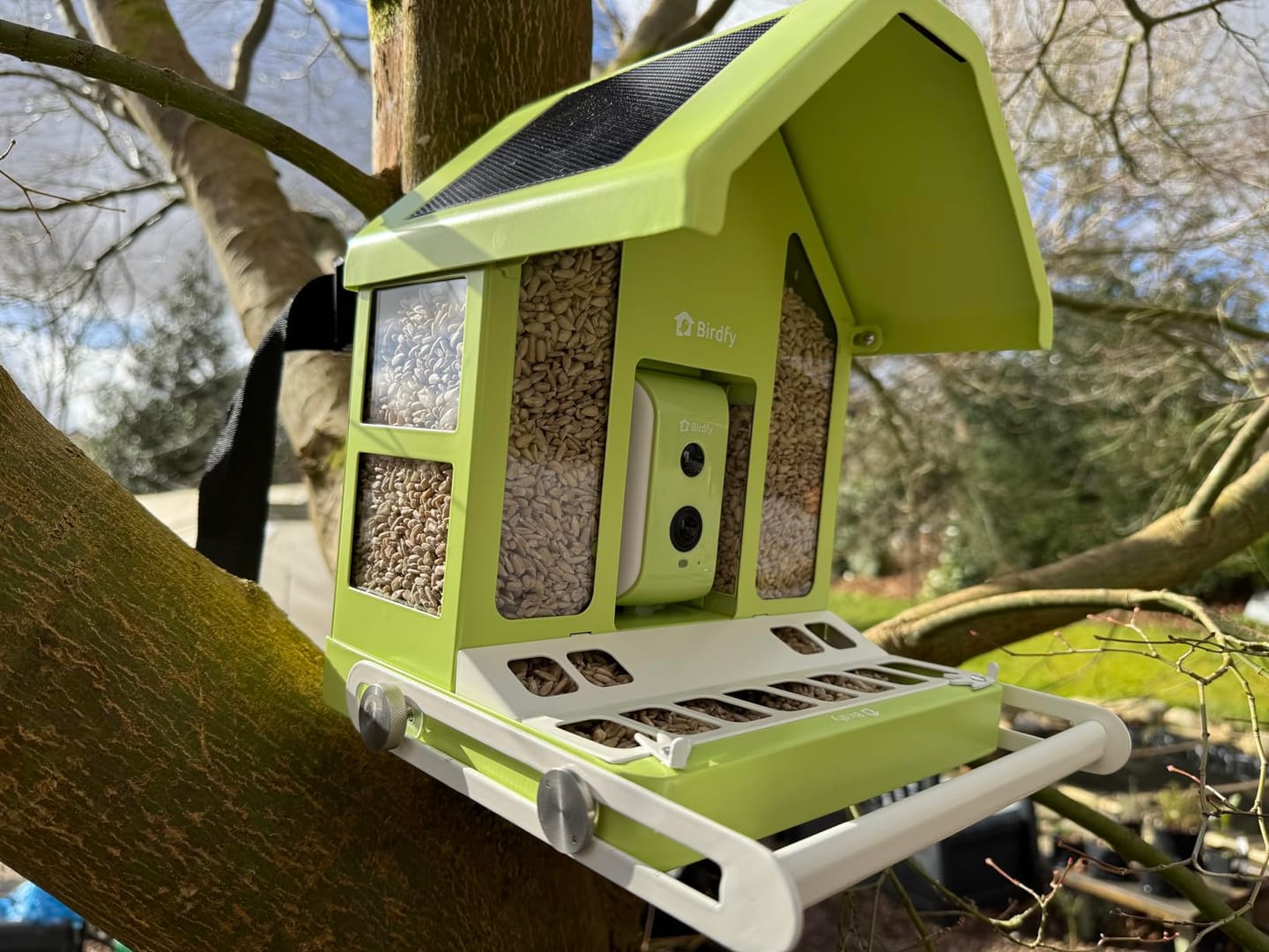 Customer photo review of Birdfy Feeder Metal - Smart Metal Feeder with Camera