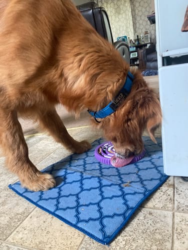 Customer photo review of FreezSwirl - Durable Stimulation Toy