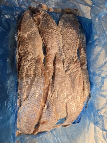 Customer photo review of 5KG Snapper Fillets (Skinned and Boned) Frozen