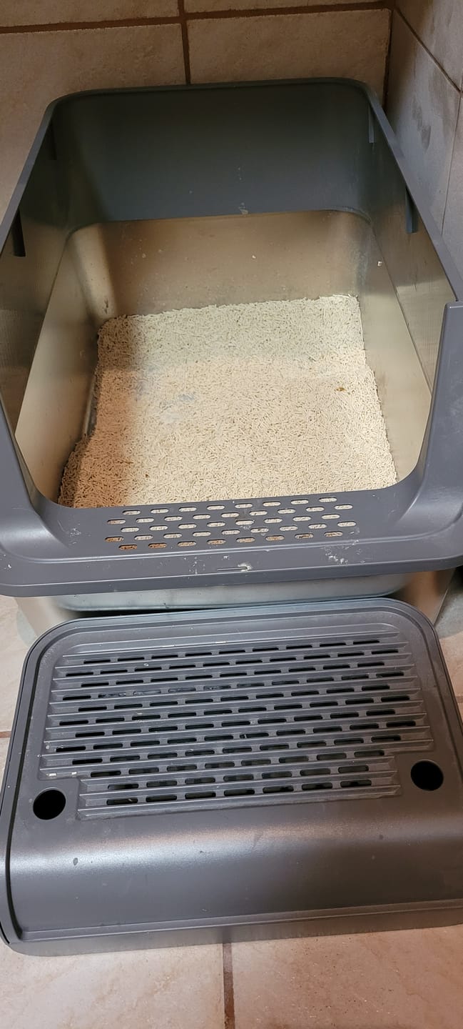 Customer photo review of Katzen Gesundheits Ratgeber von Majescats