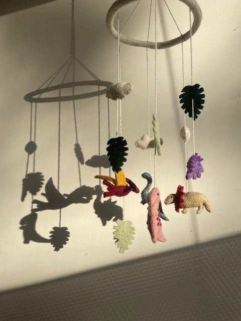 Customer photo review of Philé - Baby Mobile Dinosaur