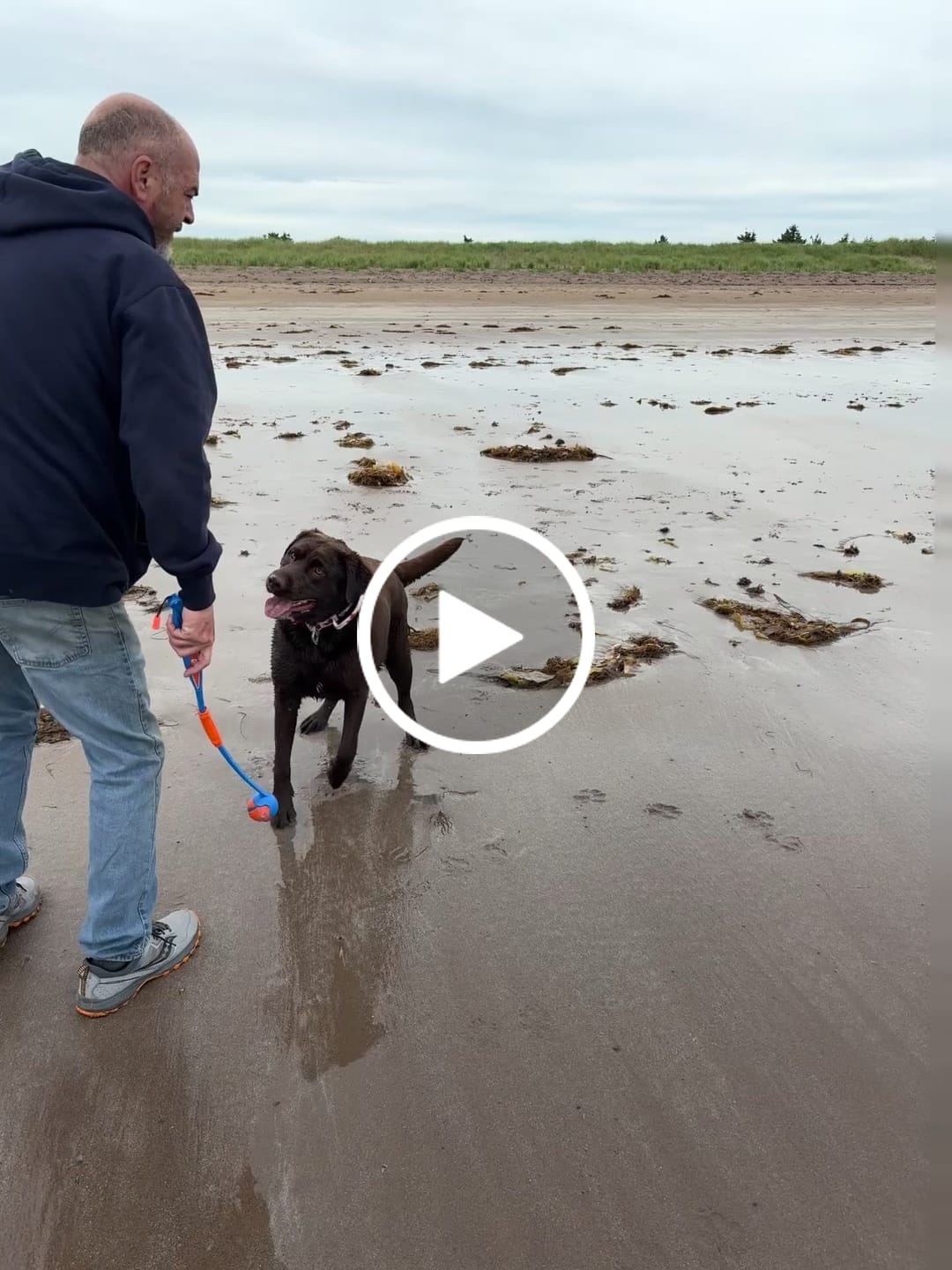 Customer video review of 2" Tacti Luxe Dog Collar - Canadian