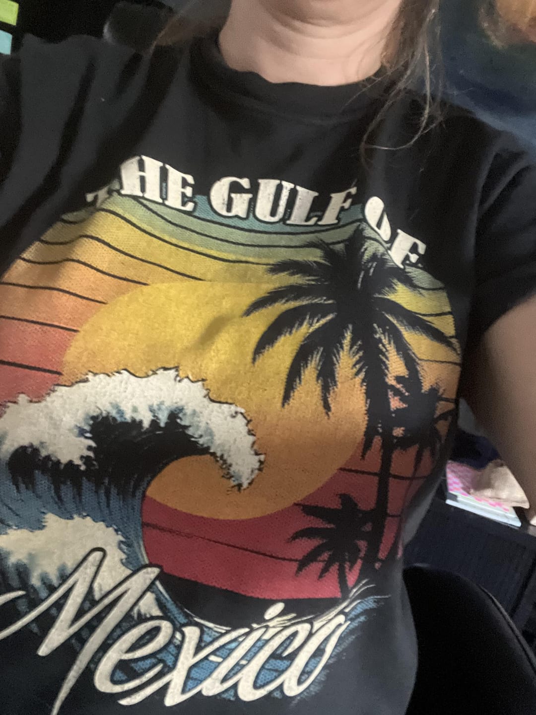 Customer photo review of Gulf of Mexico "Retro Wave" Comfort Colors T-Shirt