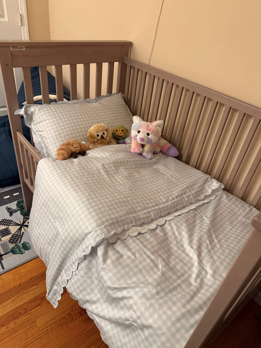 Customer photo review of Picnic Gingham Twin Set - Blue