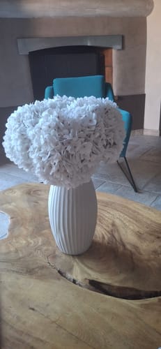 Customer photo review of Grande Hortensia (5 tiges) - Blanc