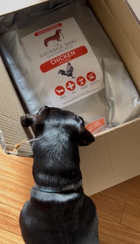 Customer photo review of Chicken & Rice